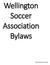 Wellington Soccer Association Bylaws