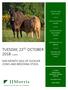 TUESDAY, 23 RD OCTOBER PM MID MONTH SALE OF SUCKLER COWS AND BREEDING STOCK SUCKLER COWS AND CALVES INCALF COWS AND HEIFERS