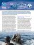National Report on Large Whale Entanglements
