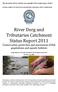 River Derg and Tributaries Catchment Status Report 2011 Conservation, protection and assessment of fish populations and aquatic habitats