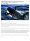Puget Sound s whales face intertwined obstacles By The Seattle Times, adapted by Newsela staff Jul. 15, :00 AM