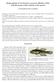 Redescription of Gnatholepis cauerensis (Bleeker, 1853), with discussion of the validity of the species
