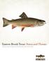 Eastern Brook Trout: Status and Threats. Produced by Trout Unlimited for the Eastern Brook Trout Joint Venture