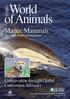 World of Animals. Marine Mammals Success from Record Responses. Conservation through Global Convention Advocacy. IFAW s