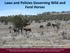 Feral Horses. All About Discovery! New Mexico State University aces.nmsu.edu