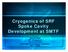 Cryogenics of SRF Spoke Cavity Development at SMTF