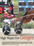 High Hopes For Geegee