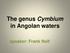 The genus Cymbium in Angolan waters. speaker: Frank Nolf