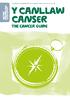 Canllaw ymarferol i fyw gyda chanser ac ar ei ôl. Y canllaw canser. The Cancer Guide