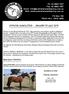 OFFICIAL NEWSLETTER - JANUARY TO JULY 2010