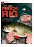 RIG ever... PERCH. The best