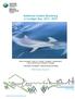 Bottlenose Dolphin Monitoring in Cardigan Bay,