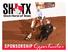 SHTX Helping People Ride A Better Horse