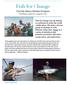 Fish for Change. Fly Fish Abaco Student Program. Fly Fishing is a platform to change the world