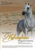Kuhaylans. The Modern. in Egyptian Breeding by Joe Ferriss Photos from Joe Ferriss archive and Gigi Grasso except where noted otherwise