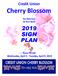 Credit Union. Cherry Blossom. Ten Mile Run 5K Run-Walk 2019 SIGN PLAN