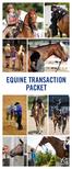 EQUINE TRANSACTION PACKET