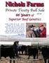 Private Treaty Bull Sale