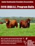 2019 JBBA A.I. Program Bulls