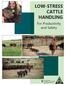 LOW-STRESS CATTLE HANDLING. For Productivity and Safety