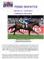 Edition /05/2017 Compiled by Joe o Neill. Hijack Hussy sells on 30 May 2017 at. Magic Millions National Broodmare Sale