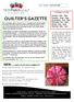 QUILTER S GAZETTE. SEW...WHAT DO WE HAVE COMING UP? Little Miss Muffet sat on her tuffet Yes, tuffets have arrived!