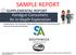 SAMPLE REPORT SUPPLEMENTAL REPORT