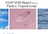 ICCAT SCRS Report (PLE-104) Panel 1- Tropical tunas. ICCAT Commission Marrakech