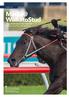 WaikatoStud. Top weekend on the track for horses sired by WS stallions 8 APRIL, 2019