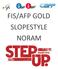 FIS/AFP GOLD SLOPESTYLE NORAM