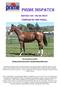 Edition /05/2018 Compiled by Joe o NeILL. Our Long Sali as a yearling. $32,000 purchase from the 2017 Tasmanian Magic Millions Sale