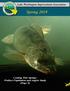 Spring Coming This Spring! Walleye Population and Angler Study (Page 5)