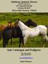 Sale Catalogue and Pedigrees